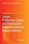 Syngas Production: Status and Potential for Implementation in Russian Industry