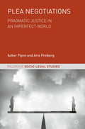 Palgrave Socio-Legal Studies