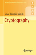 Springer Undergraduate Mathematics Series
