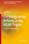 Perspectives on Development in the Middle East and North Africa (MENA) Region