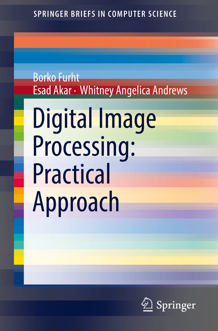 SpringerBriefs in Computer Science