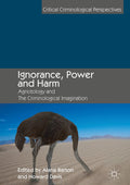 Critical Criminological Perspectives
