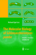 The Molecular Biology of Schizosaccharomyces pombe
