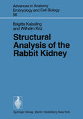 Structural Analysis of the Rabbit Kidney