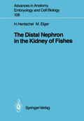The Distal Nephron in the Kidney of Fishes