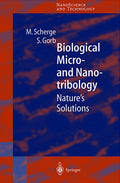 NanoScience and Technology