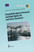 Transport and Chemical Transformation of Pollutants in the Troposphere