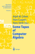 Some Tapas of Computer Algebra