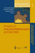 Mathematics in Industry