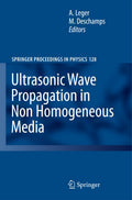 Springer Proceedings in Physics