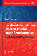 Studies in Computational Intelligence