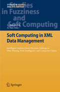 Studies in Fuzziness and Soft Computing