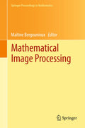 Springer Proceedings in Mathematics