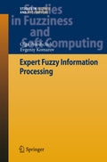 Studies in Fuzziness and Soft Computing
