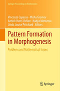 Springer Proceedings in Mathematics