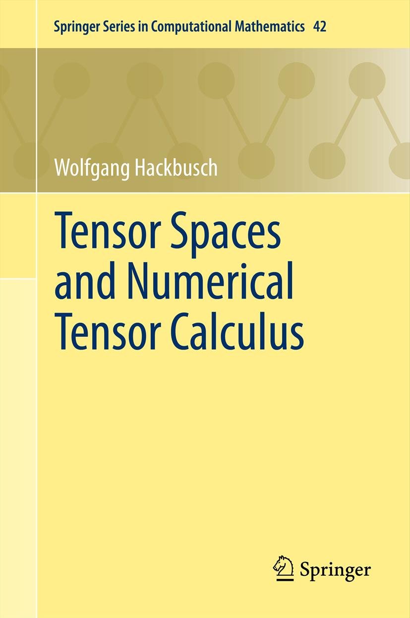 Springer Series in Computational Mathematics