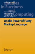 Studies in Fuzziness and Soft Computing