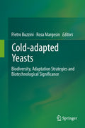 Cold-adapted Yeasts