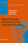 Efficient Topology Estimation for Large Scale Optical Mapping