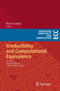Emergence, Complexity and Computation