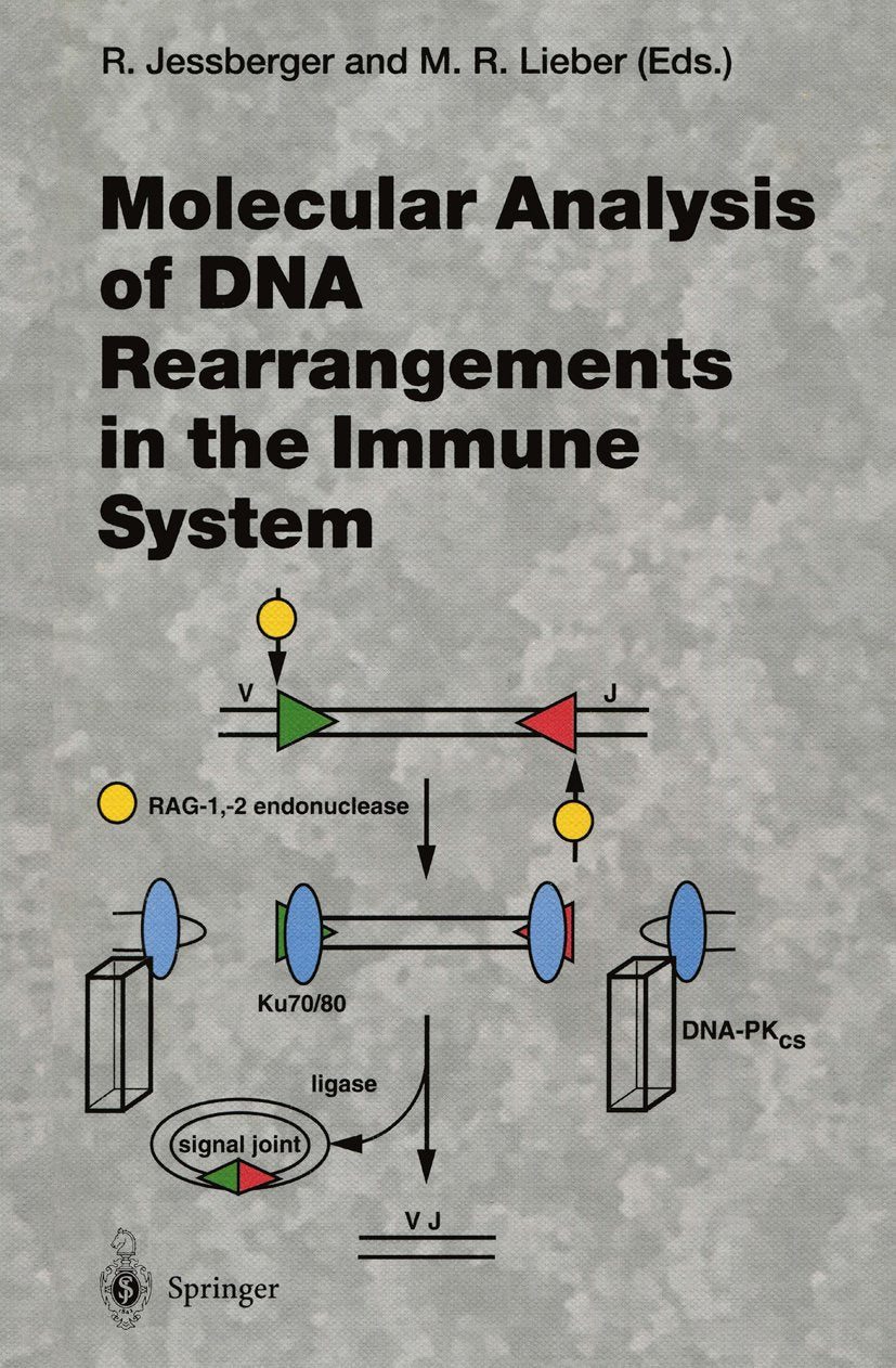 Molecular Analysis of DNA Rearrangements in the Immune System