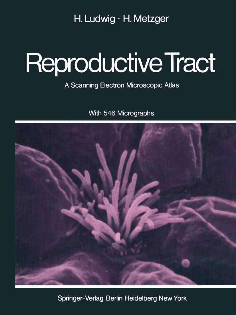 The Human Female Reproductive Tract
