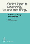 The Molecular Biology of Baculoviruses