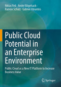 Public Cloud Potential in an Enterprise Environment