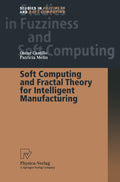 Studies in Fuzziness and Soft Computing