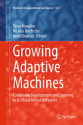 Studies in Computational Intelligence