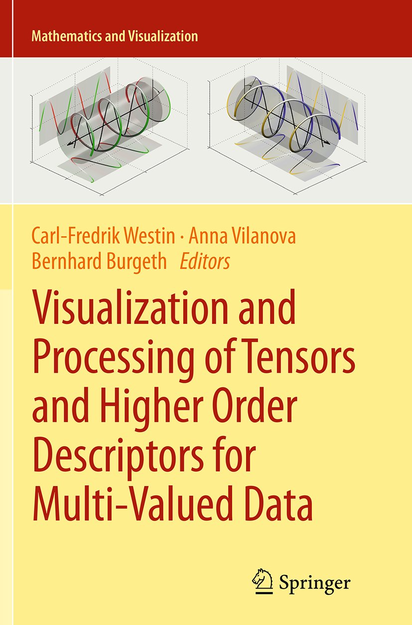 Mathematics and Visualization