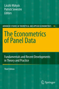 The Econometrics of Panel Data