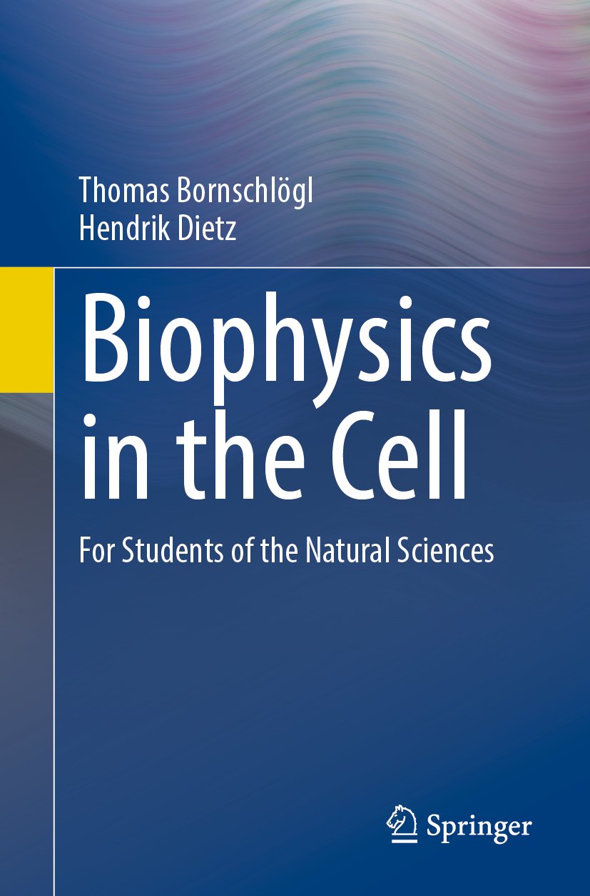 Biophysics in the Cell