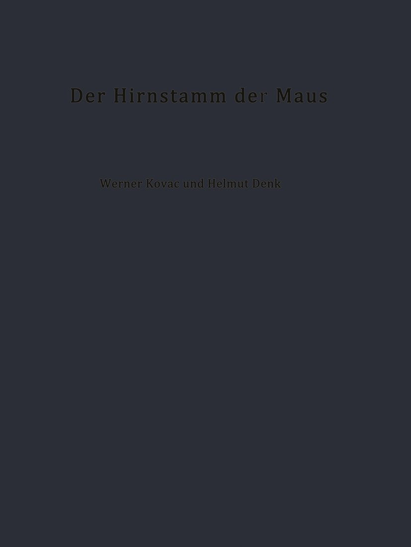 Der Hirnstamm der Maus