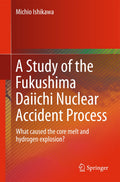 A Study of the Fukushima Daiichi Nuclear Accident Process