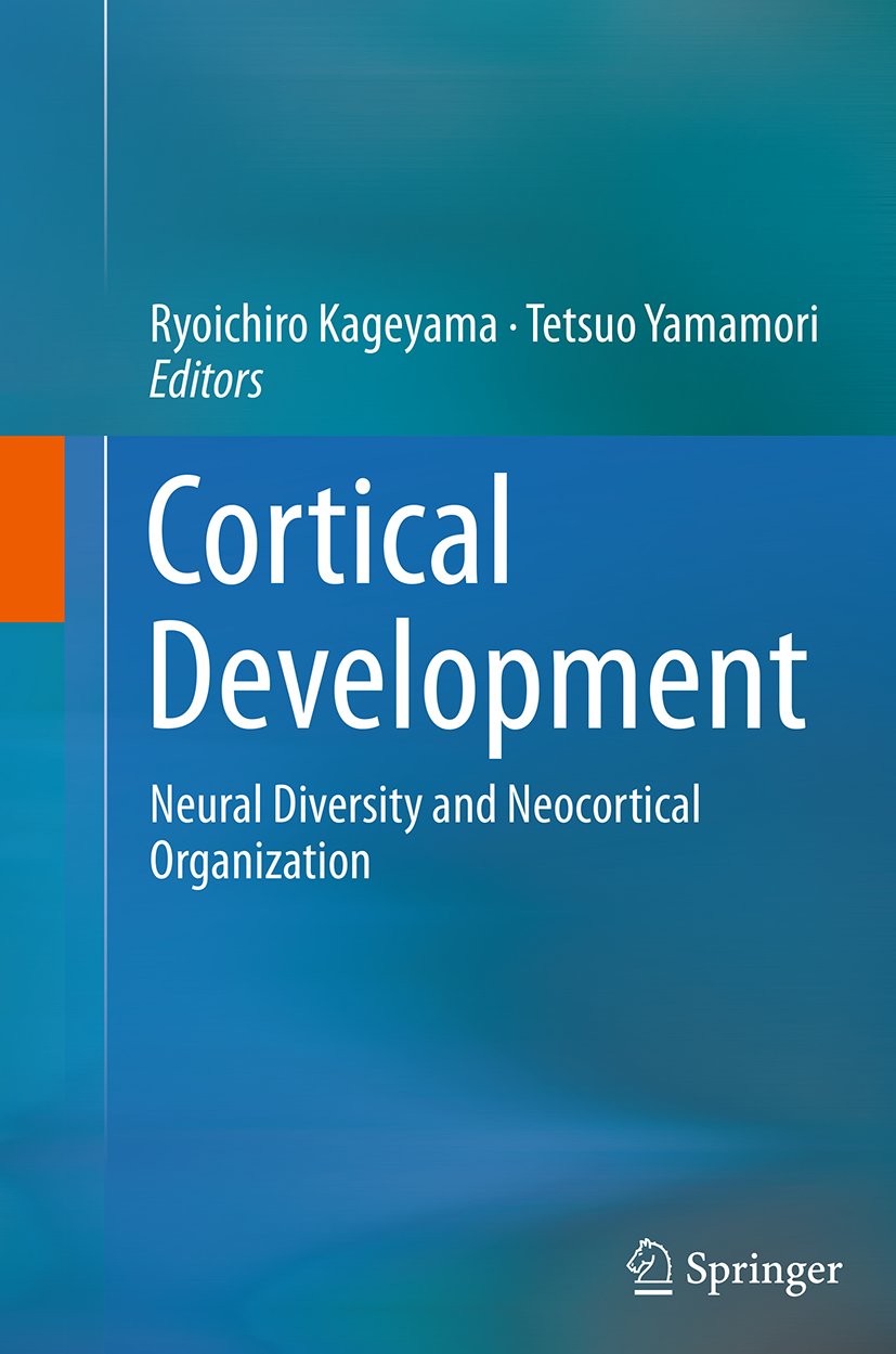Cortical Development