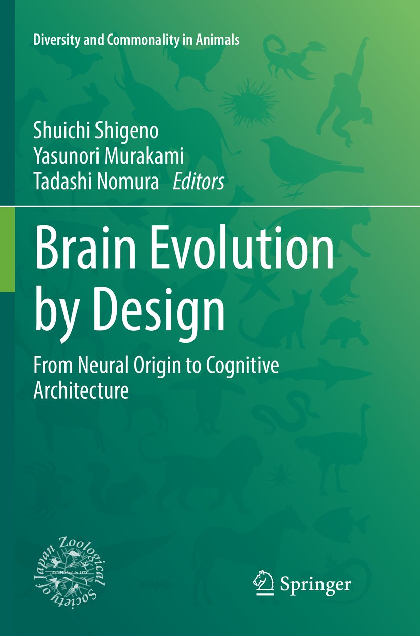Brain Evolution by Design