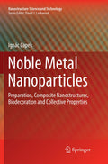 Nanostructure Science and Technology