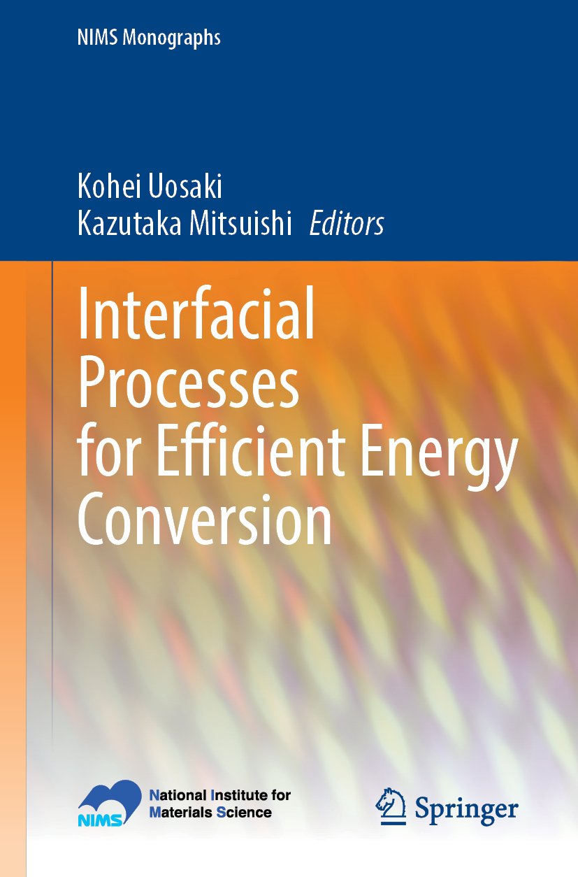 Interfacial Processes for Efficient Energy Conversion