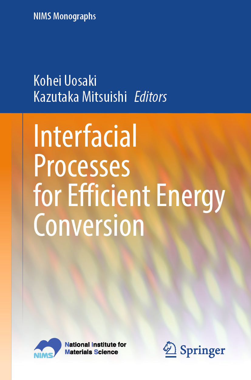 Interfacial Processes for Efficient Energy Conversion