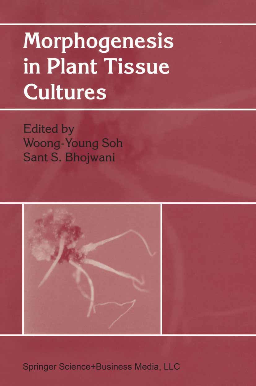 Morphogenesis in Plant Tissue Cultures