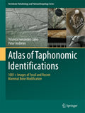 Vertebrate Paleobiology and Paleoanthropology