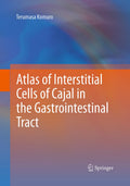 Atlas of Interstitial Cells of Cajal in the Gastrointestinal Tract