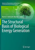 Advances in Photosynthesis and Respiration