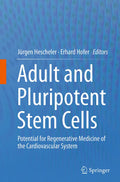 Adult and Pluripotent Stem Cells