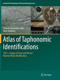 Vertebrate Paleobiology and Paleoanthropology