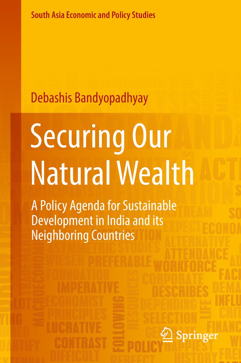 South Asia Economic and Policy Studies
