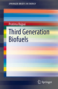 SpringerBriefs in Energy