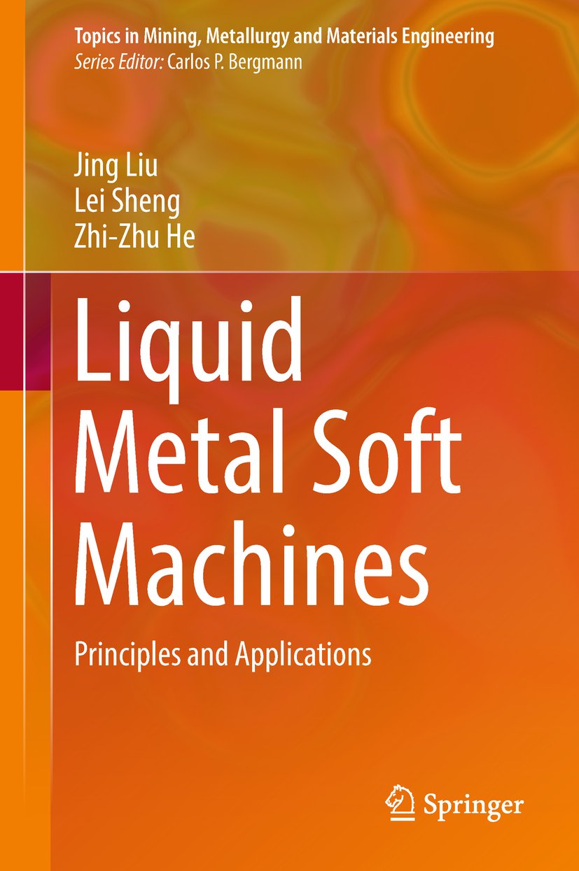 Topics in Mining, Metallurgy and Materials Engineering