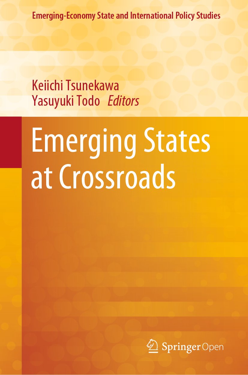 Emerging-Economy State and International Policy Studies